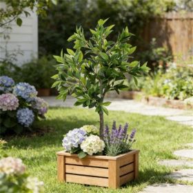Potted plant, fake plant, artificial tree, used for home decoration, green